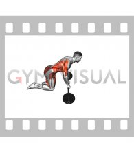 Barbell Spiderman Rollout