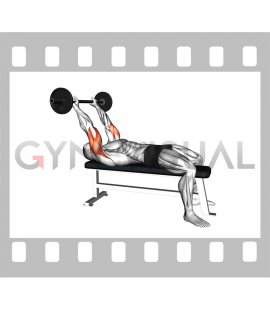 Barbell Skull Crusher (VERSION 2)