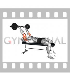 EZ Bar Skull Crusher (VERSION 2)