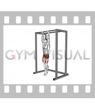 Hanging Leg Raise
