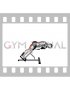 Plate Hyperextension