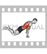 Kneeling Pseudo Planche Push up
