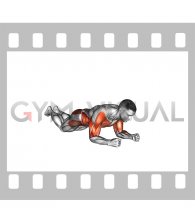 Kneeling Plank Shoulder Tap