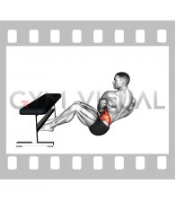 Dumbbell Russian Twist with Legs Supported