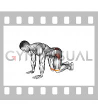 Resistance Band Bent Leg Side Kick (kneeling) (male)