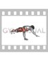 Star Plank Toe Tap (male)