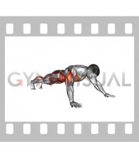 Star Plank Toe Tap (male)