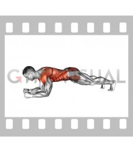 Elbow Plank Thigh Tap (male)