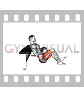 Dumbbell Banded Single Leg Hip Thrust