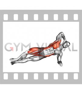 Side Plank Elbow to Knee Raise (male)