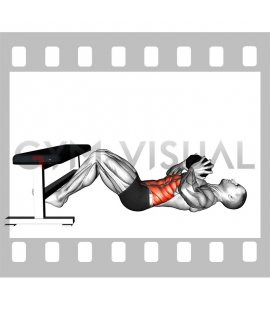 Dumbbell Twisting Crunch with Legs Supported (male)
