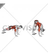 Plank Pike Slide with Towel