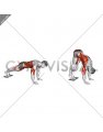 Plank Pike Slide with Towel