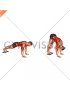 Plank Pike Slide with Towel