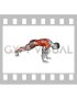 Plank 4 Point Hops (male)