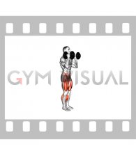 Dumbbell Squat Royalty Lunge (male)