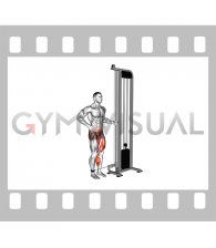 Cable Squat Side Leg Kick (male)