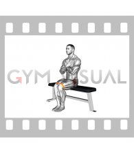 Resistance Band Seated Hip Abduction (VERSION 2)