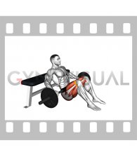 Barbell Banded Hip Thrust