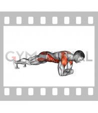 Plank Forearms Walk (male)