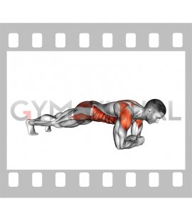 Plank Forearms Walk (male)