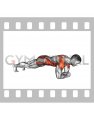 Plank Forearms Walk (male)