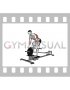 Lever T-bar Row (plate loaded)