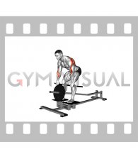 Lever T-bar Row (plate loaded)
