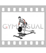 Lever T-Bar Wide Grip Delt Row