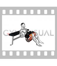 Dumbbell Banded Hip Thrust