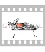 Weighted Plate Lying Bench Side Oblique Crunch (male)