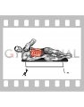 Weighted Plate Lying Bench Side Oblique Crunch (male)