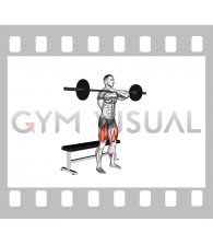 Barbell Bench Front Squat