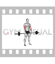Barbell Standing Reverse Grip Curl