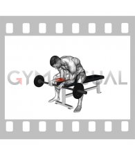Barbell Wrist Curl