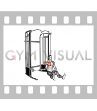 Cable Seated Shoulder Internal Rotation