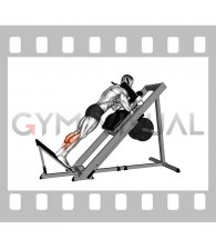 Sled Forward Angled Calf Raise