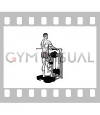 Lever Side Hip Abduction