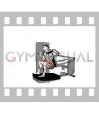 Lever Chair Squat