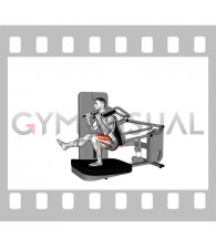 Lever Pistol Squat