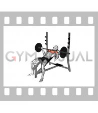 Barbell Incline Wide Reverse Grip Bench Press