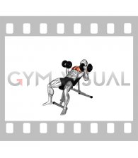 Dumbbell Incline Reverse Grip 30 Degrees Bench Press