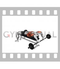 Barbell Bent Arm Pullover