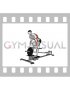 Lever T Bar Reverse Grip Row