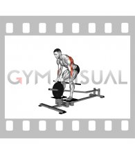 Lever T Bar Reverse Grip Row