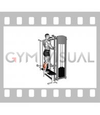 Cable Standing Calf Raise