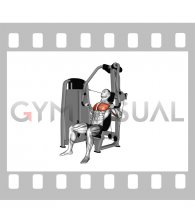Lever Chest Press (Version 2)