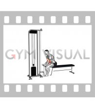 Cable Seated Curl
