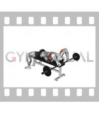 Barbell Lying Back Of The Head Triceps Extension