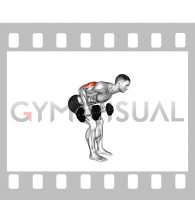 Dumbbell Standing Bent Over Two Arm Triceps Extension